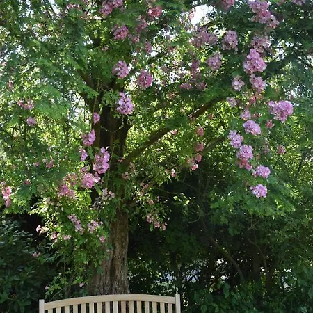לינה וארוחת בוקר Rimmergardens *