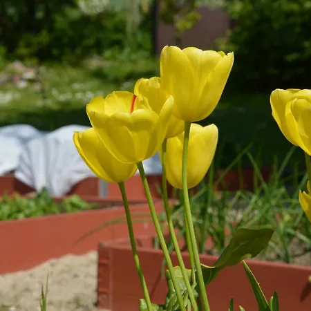 Rimmergardens לינה וארוחת בוקר