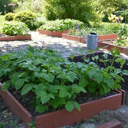 לינה וארוחת בוקר Rimmergardens ניקובינג מורס